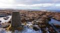 Newton Tors