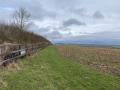 Waddesdon Hill 