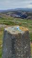 Dalmahoy Hill Spider