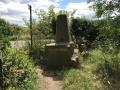 Hampole Wood