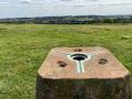 Fox Hill 