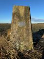 The trigpoint