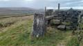 The pillar (1)