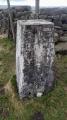 The pillar (2)