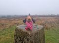 Dottie @ Corse Hill trigpoint