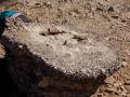 Remains of trig