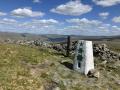 Calf Top pillar
