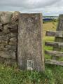 Plane Tree Hill Trig