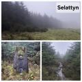 Selattyn 