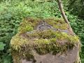 Dukes Wood 