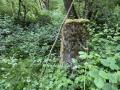 Dukes Wood 