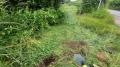 Site
