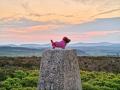 Dottie @ Park Lead Mines trigpoint