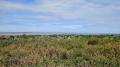 Views of Hoylake and Hilbre Island
